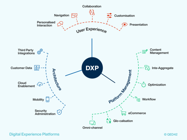 Discover DXP: The Future of Web Development – Kinematic Digital