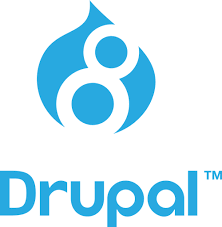 Drupal Implementation: Why Choose Kinematic Digital