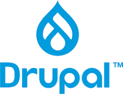 Best Drupal implementation agencies in the USA – Deliver Digital Delight with Drupal