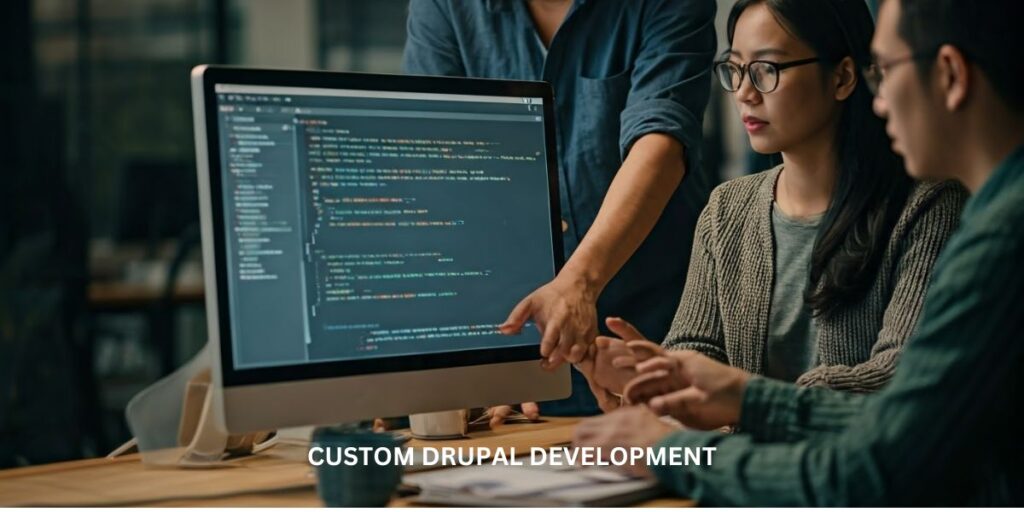 CUSTOM DRUPAL DEVELOPMENT