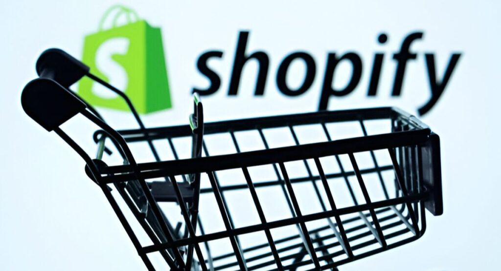 Shopify Store Management Services