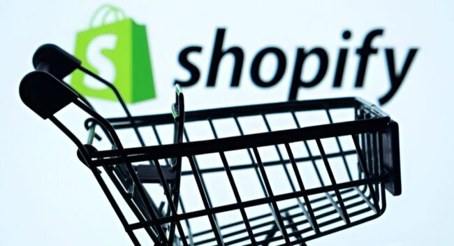 Shopify Store Management Services